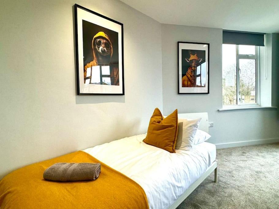 3 Bedroom- Gem - Near & Town Apartment *